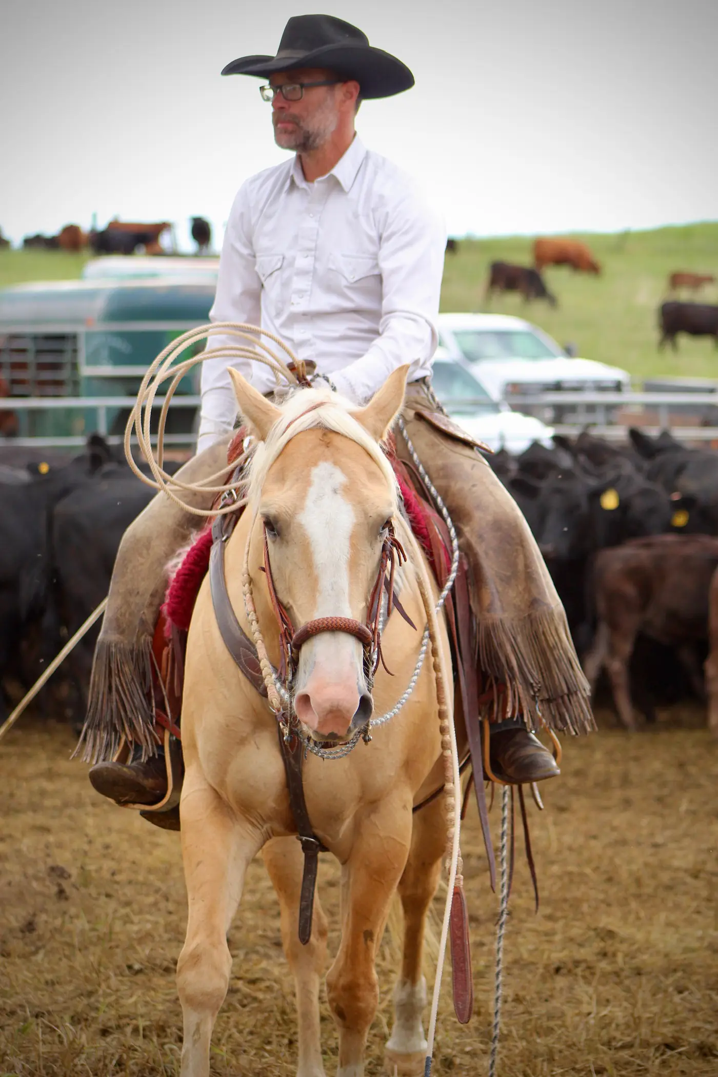 Paul Van Dyke horseback on a palomino