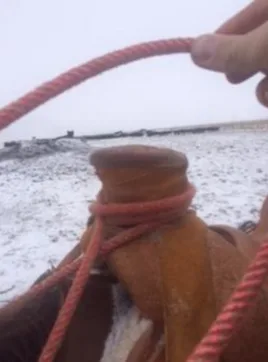 Putting the loop over the horn