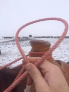 Half-hitching twice at the horn