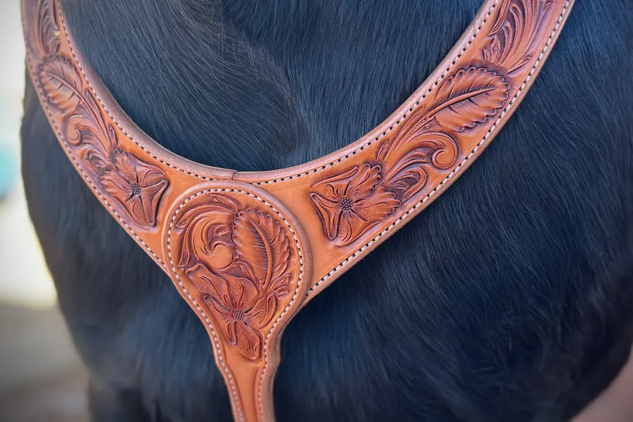 A floral-tooled breast collar on a black horse
