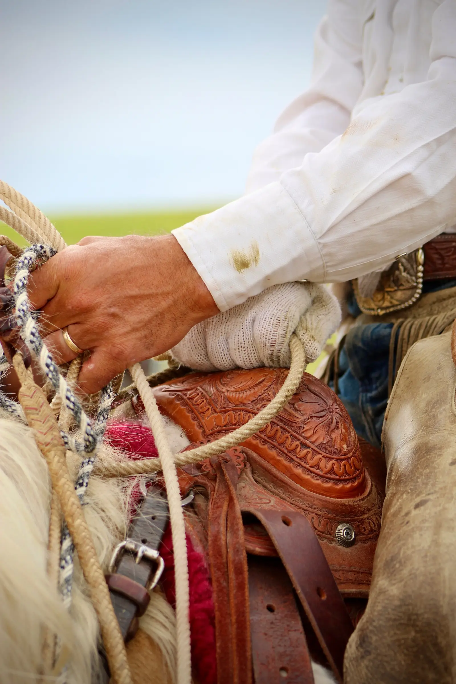 A rider's hands coiling a rope over a hand-tooled Van Dyke saddle, chaps and horse mane in frame