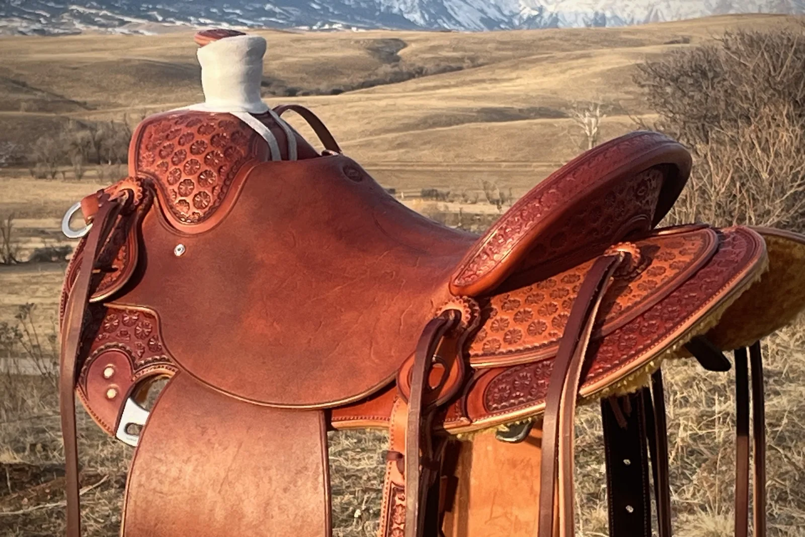 A Van Dyke saddle on the rail, Bighorn Mountains behind
